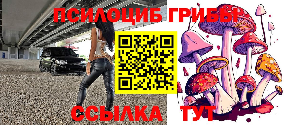 Галлюциногенные грибы Magic Shrooms Красногорск