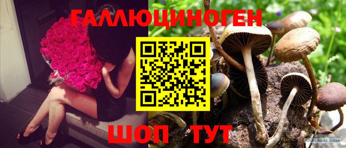 Псилоцибиновые грибы GOLDEN TEACHER  Вход с VPN  Галлюциногенные грибы ЛСД  Красногорск 